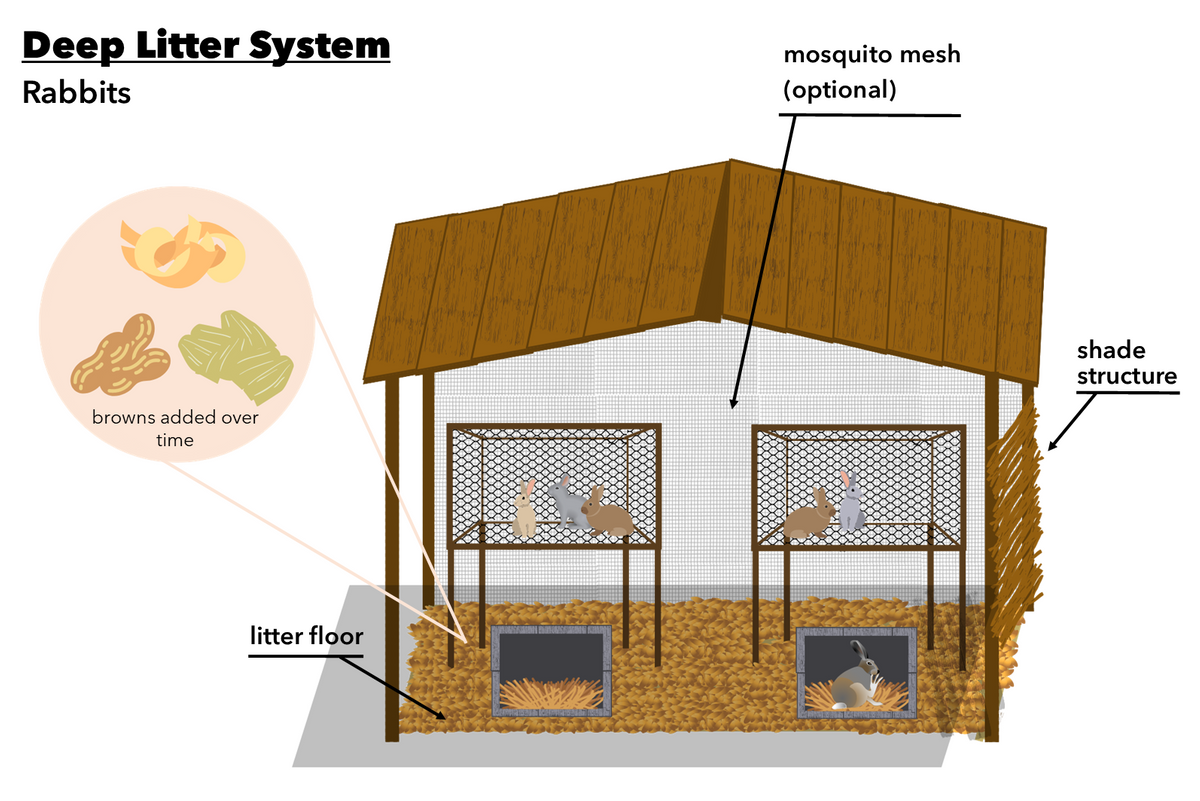 Deep litter system - Rabbits English